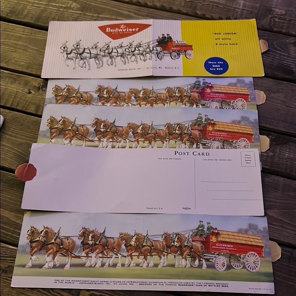 Vintage Budweiser‎ Clydesdale Postcard Set